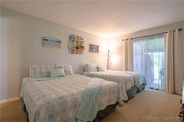 294 Moongate Dr, Osage Beach, MO 65065 - view of carpeted bedroom