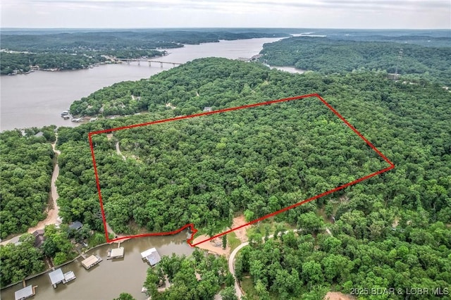 drone / aerial view featuring a water view and a view of trees