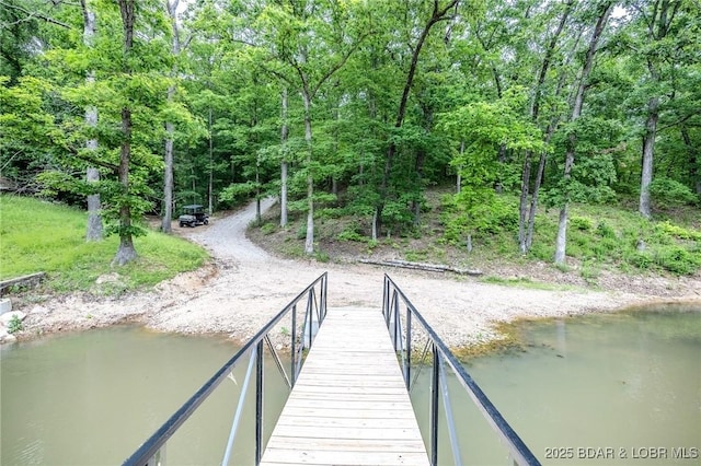 553 Wading Bird Rd, Camdenton, MO 65020 - view of dock area