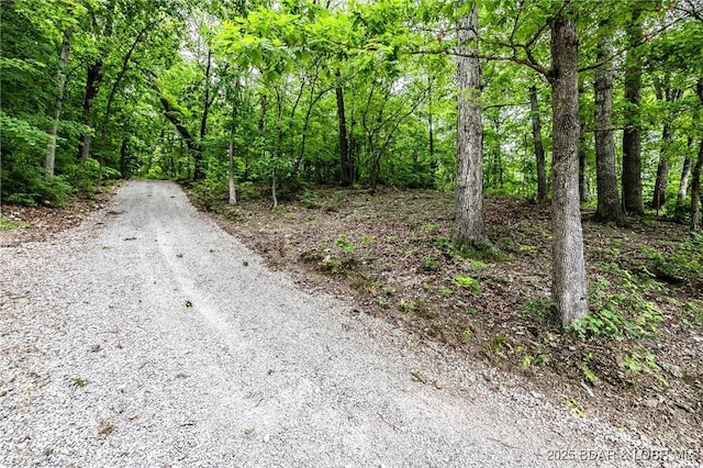 view of street with a forest view