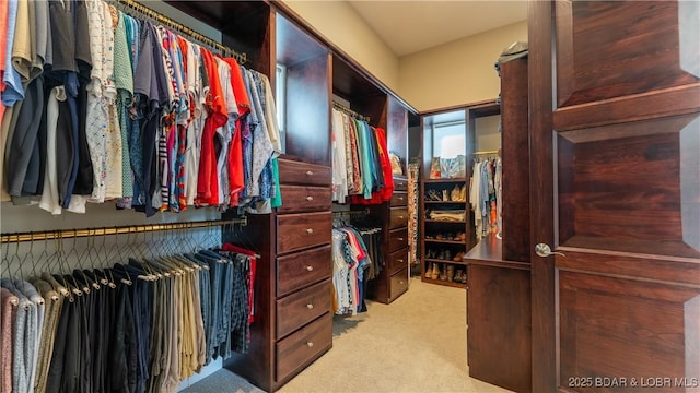 559 Forestridge Ln, Sunrise Beach, MO 65079 - spacious closet with light carpet