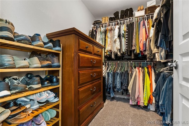 spacious closet featuring carpet floors