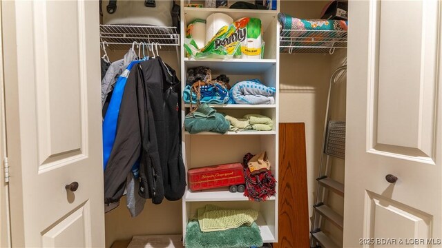 view of closet