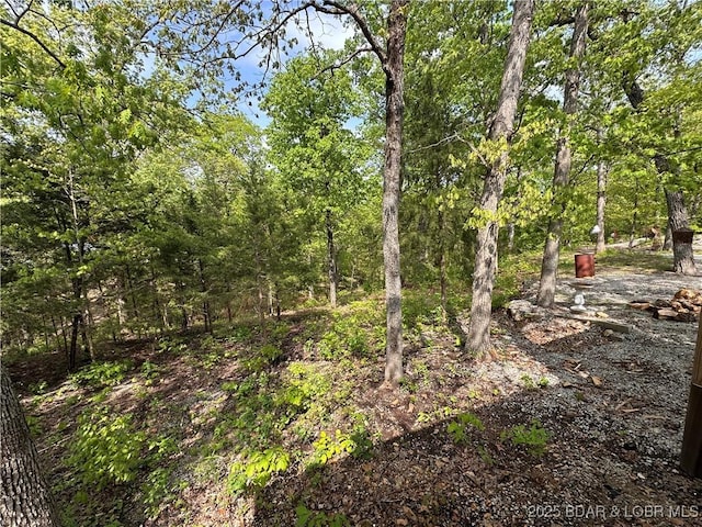 30338 Bent Tree Dr, Warsaw, MO 65355 - view of wooded area