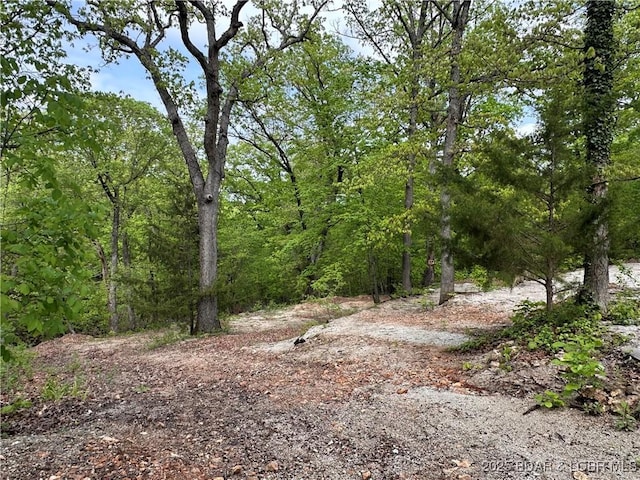 view of nature