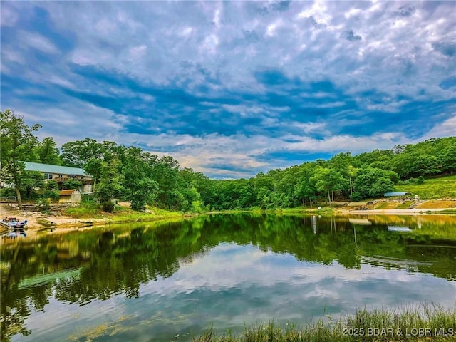 30338 Bent Tree Dr, Warsaw, MO 65355 - water view with a forest