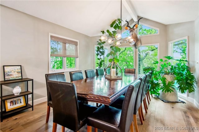 1088 Cornett Branch Rd, Four Seasons, MO 65049 - photo 6