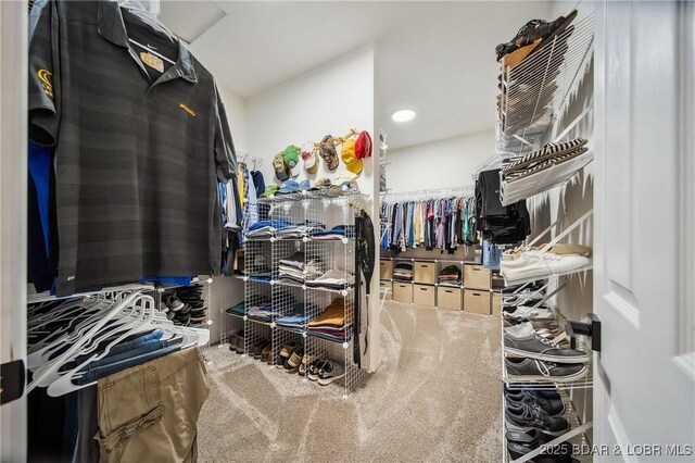 view of spacious closet