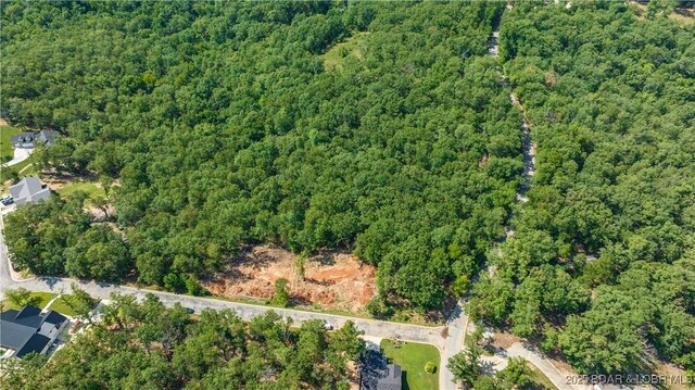 LOT36 Chippewa Pl, Linn Creek, MO 65052