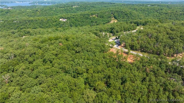 LOT36 Chippewa Pl, Linn Creek, MO 65052