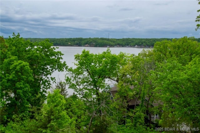 362 Hopetown Dr, Osage Beach, MO 65065 - water view