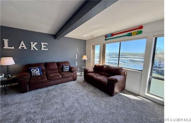 783 Winn Rd Unit 5F, Osage Beach, MO 65065 - carpeted living area with a textured ceiling and beam ceiling