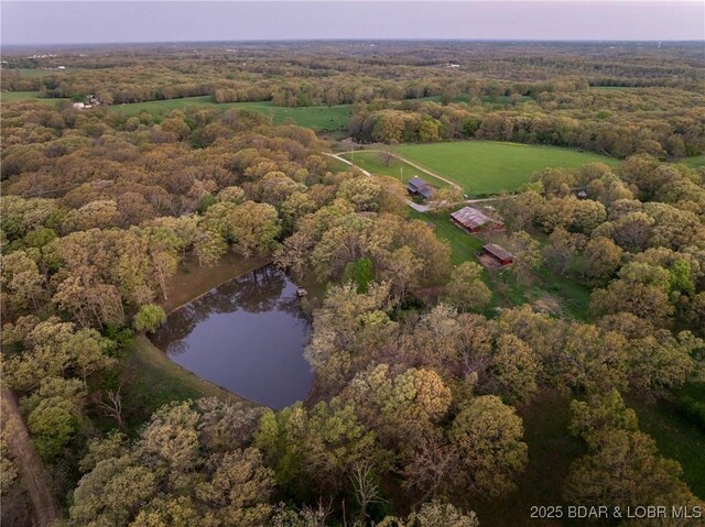 drone / aerial view with a water view, a rural view, and a view of trees