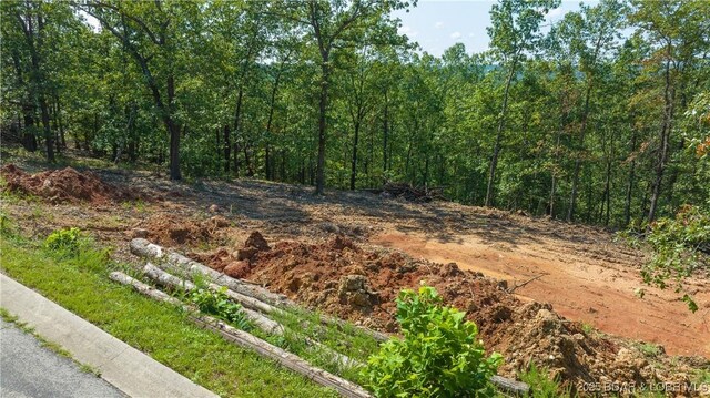 TBD Matson Rd, Linn Creek, MO 65052