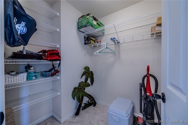 walk in closet featuring carpet flooring