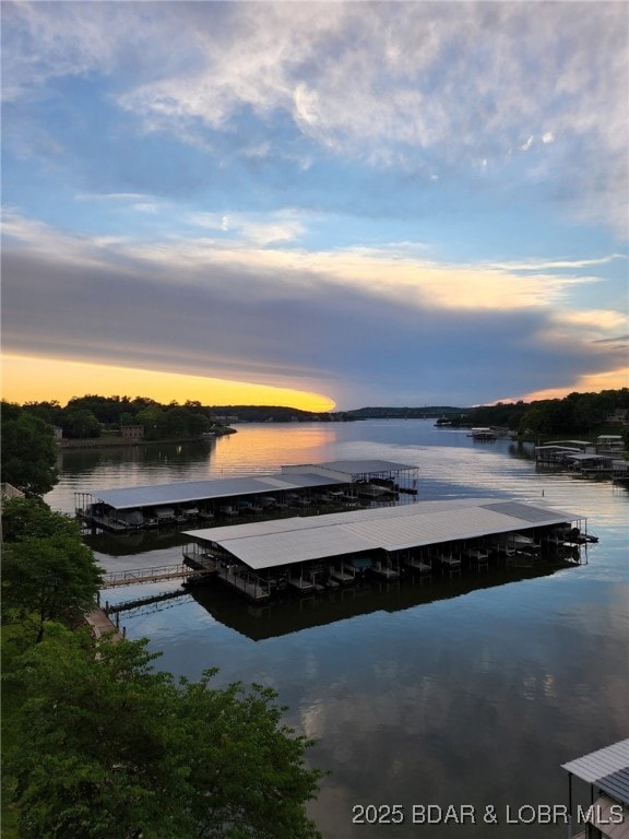 dock area featuring a water view