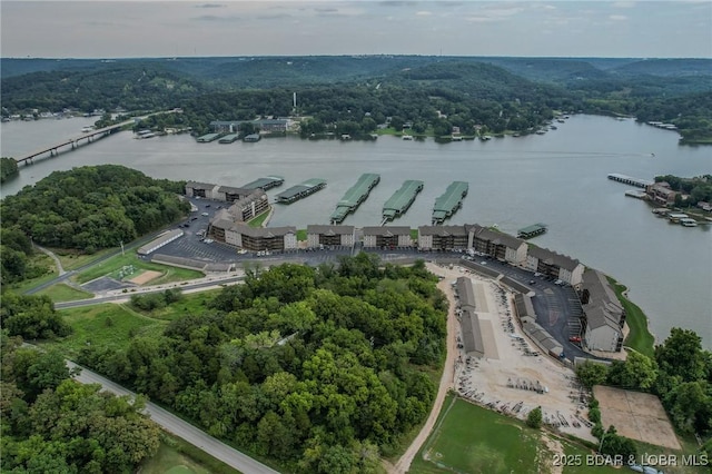 birds eye view of property with a water view and a wooded view