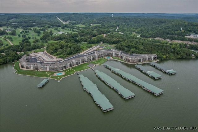bird's eye view with a water view and a wooded view