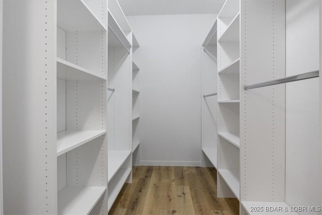 21 Meadow Lake Cir, Eldon, MO 65026 - walk in closet with light wood-type flooring