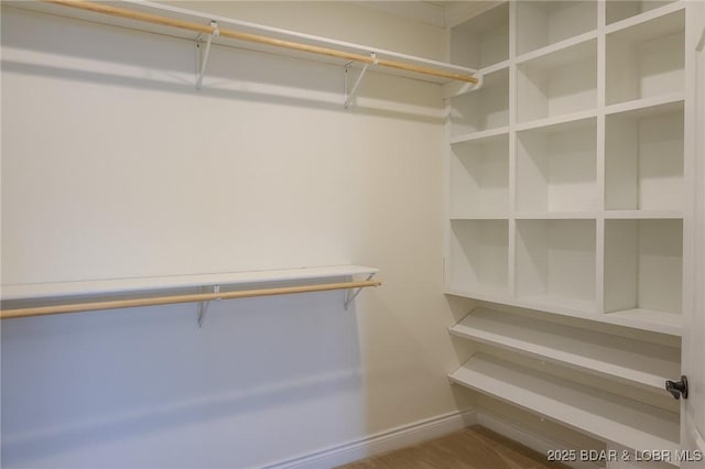 view of spacious closet