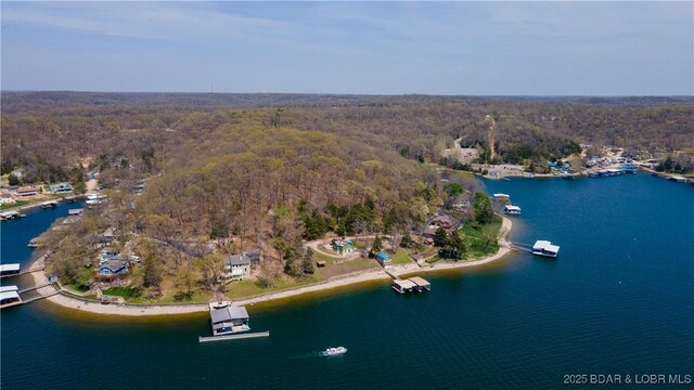 29540 Inspiration Pt, Rocky Mount, MO 65072 - birds eye view of property featuring a view of trees and a water view