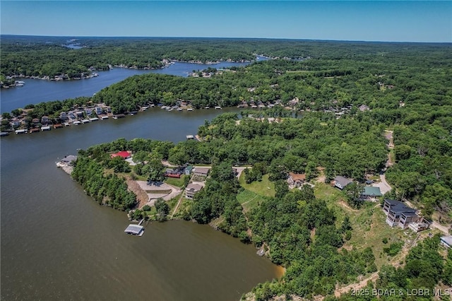 31371 Chateau Dr, Rocky Mount, MO 65072 - photo 3