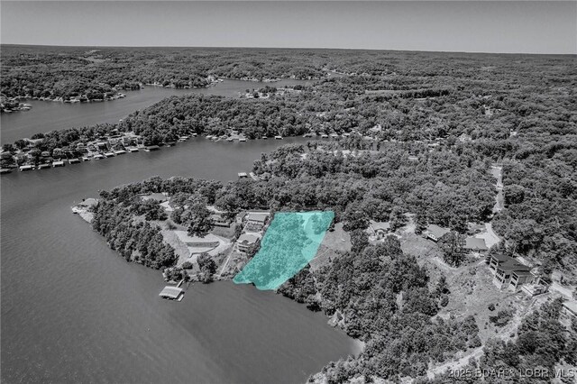 31371 Chateau Dr, Rocky Mount, MO 65072 - photo 50