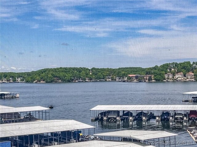 view of dock featuring a water view and a wooded view