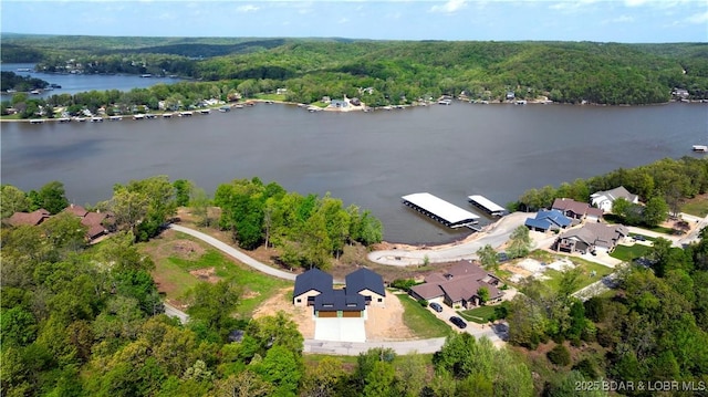birds eye view of property featuring a water view and a view of trees
