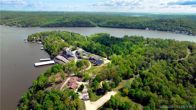 bird's eye view with a water view and a wooded view