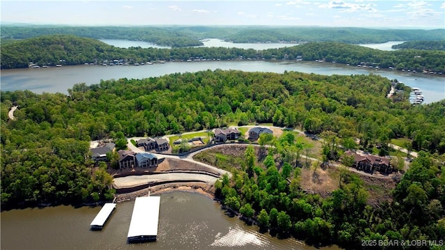 aerial view with a water view and a wooded view