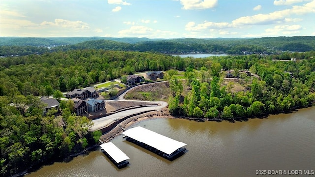 bird's eye view with a water view and a wooded view