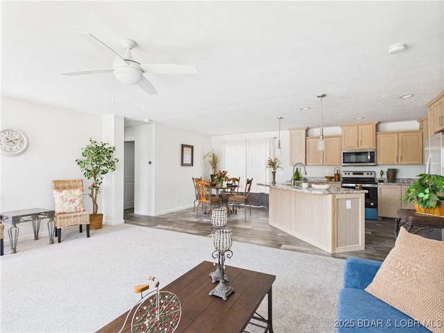 9A Pinkie Ln, Laurie, MO 65037 - living room with baseboards, a ceiling fan, and wood finished floors
