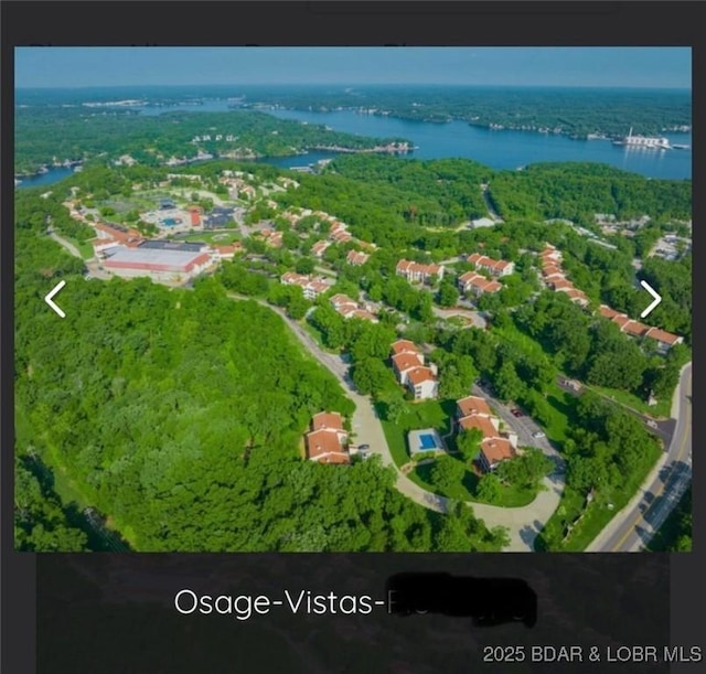 145 Costa Del Sol Dr Unit 2A, Lake Ozark, MO 65049 - aerial view of a large body of water and a forest