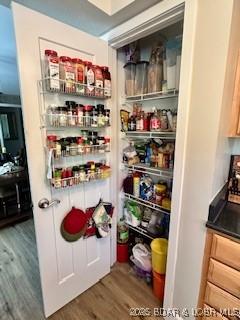 145 Costa Del Sol Dr Unit 2A, Lake Ozark, MO 65049 - view of pantry