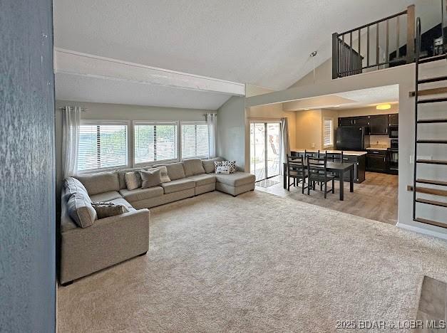 1117 Passover Rd Unit K-8, Osage Beach, MO 65065 - carpeted living room with vaulted ceiling