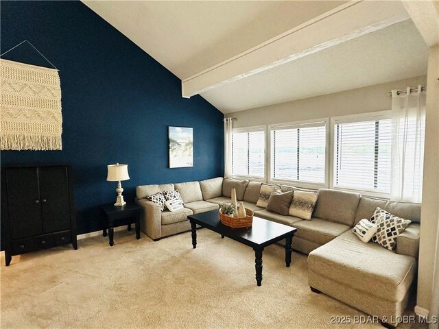1117 Passover Rd Unit K-8, Osage Beach, MO 65065 - living room featuring carpet floors