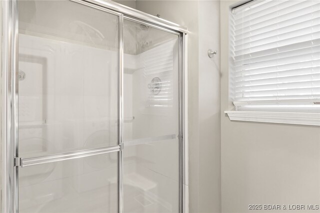 20168 Lost Valley Rd, Warsaw, MO 65355 - full bath with a shower stall