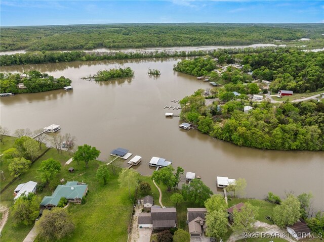 20168 Lost Valley Rd, Warsaw, MO 65355 - drone / aerial view of a large body of water and a heavily wooded area