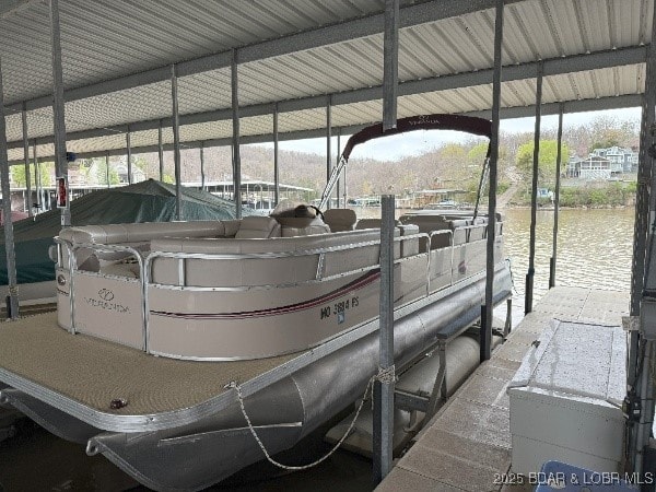 dock area with boat lift