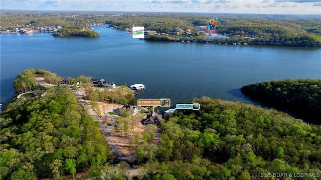 bird's eye view with a water view and a forest view