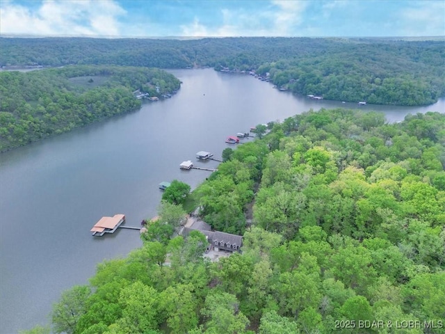 649 Nichol Rd, Edwards, MO 65326 - aerial view with a water view and a forest view