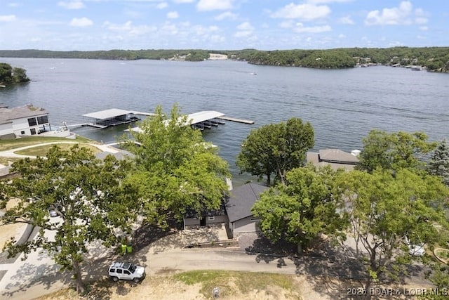 property view of water with a dock