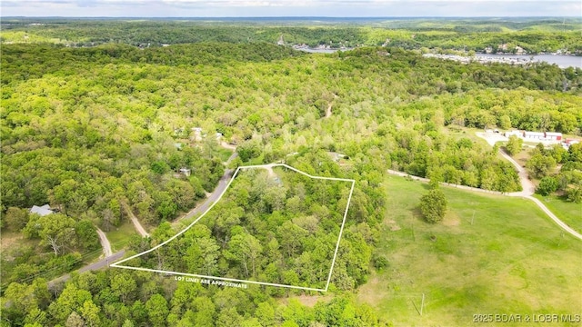 bird's eye view with a forest view