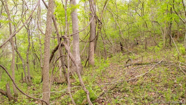 view of landscape with a wooded view