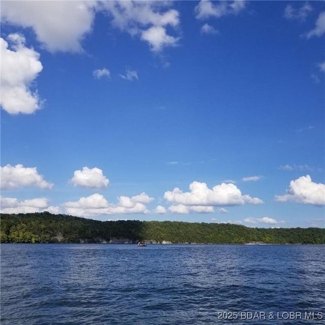 water view featuring a forest view