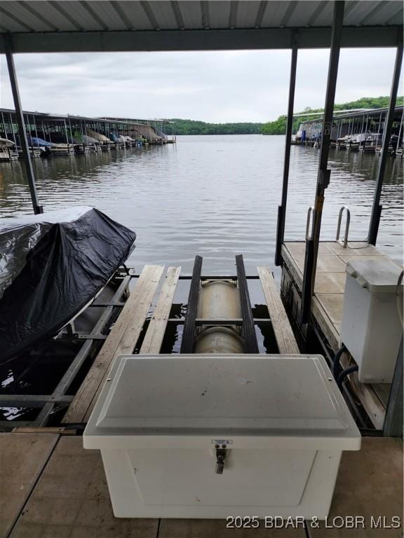 194 Park Place Ln Unit 3C, Kaiser, MO 65047 - dock featuring a water view