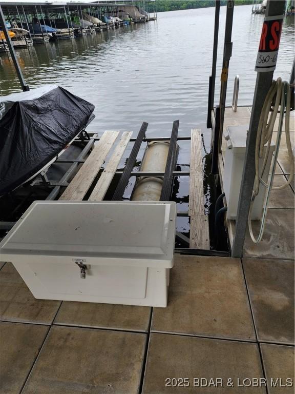 194 Park Place Ln Unit 3C, Kaiser, MO 65047 - dock featuring a water view