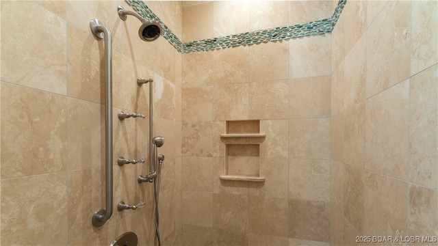 207 Buck Deer Ln, Camdenton, MO 65020 - details featuring tiled shower