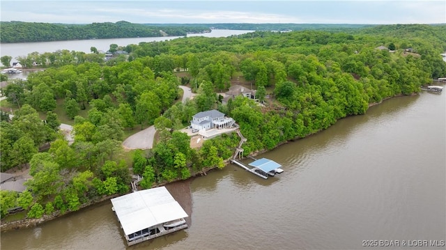 207 Buck Deer Ln, Camdenton, MO 65020 - drone / aerial view with a water view and a wooded view